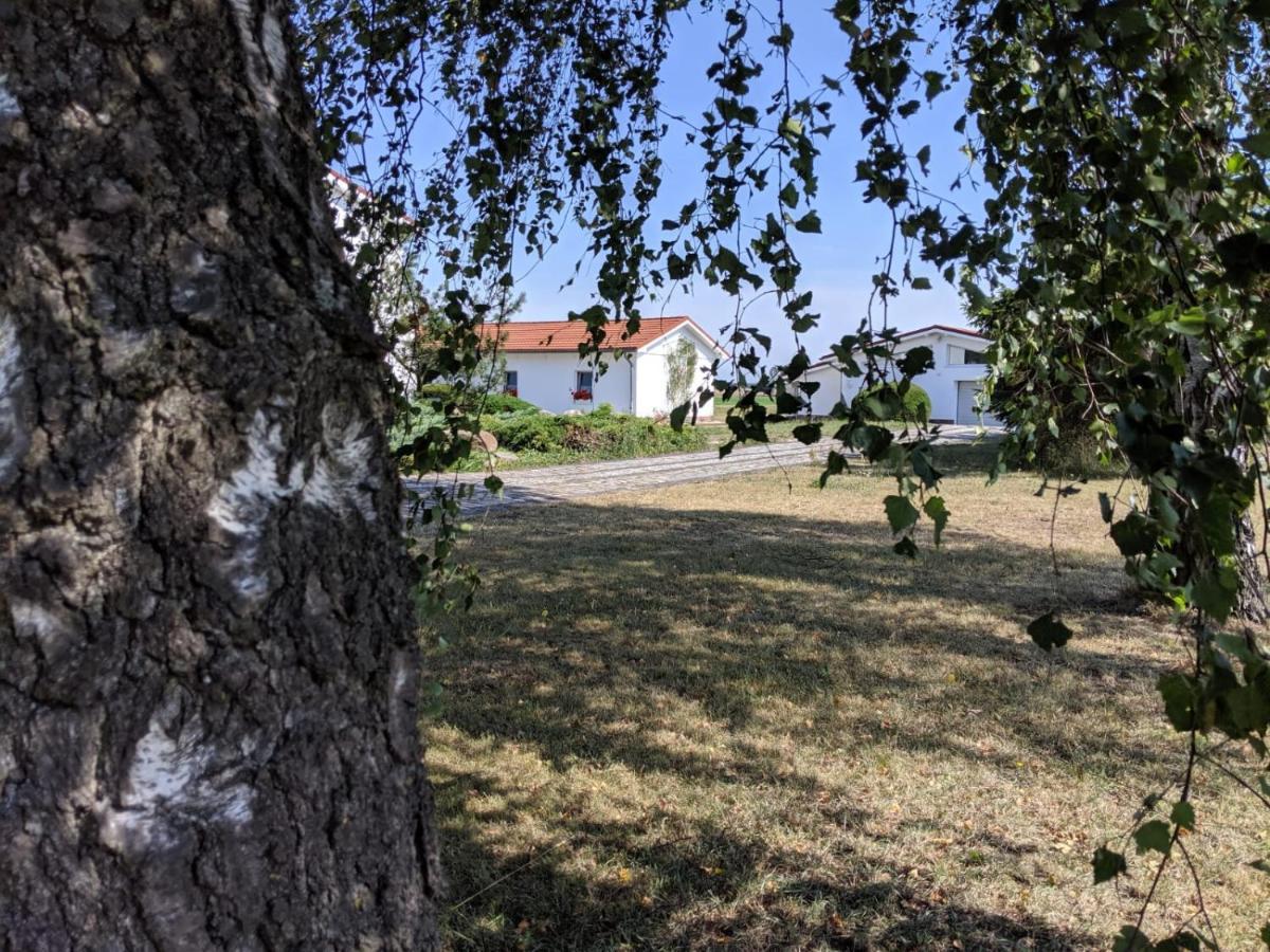 Volkenshagen Landhotel Pathes Hof מראה חיצוני תמונה